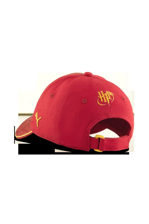X Harry Potter Dad Cap - 37198919