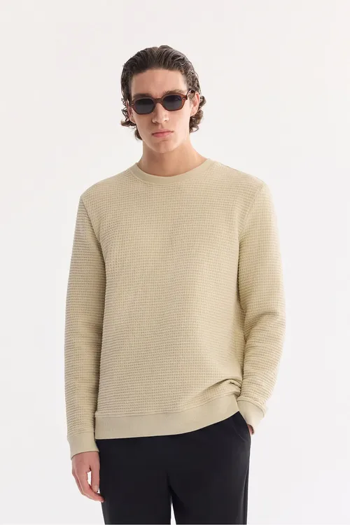 Erkek bež tegelek ýakaly žakard sweatshirt A61Y1207 - 33991853