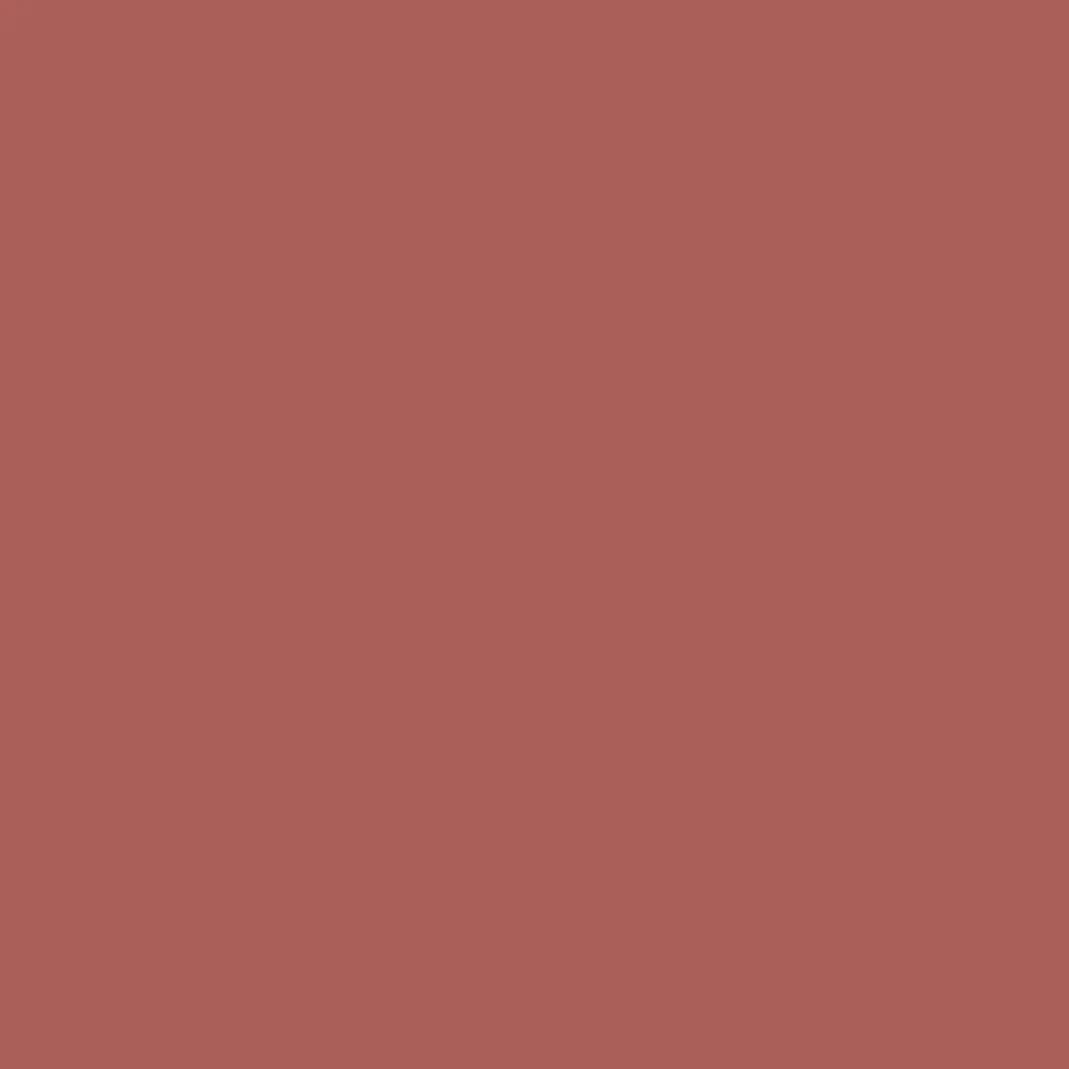 Loreal Paris Hyaluron Lip Tint 485 Nude Espresso dodak tinti - 33469672 — surat 7/7