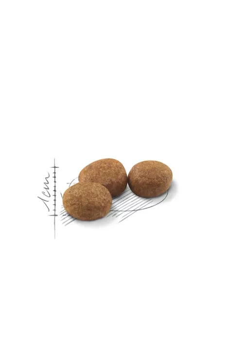 Arassalanan pişikler üçin gury Sterilised 37 iými (10 kg) - 10443658
