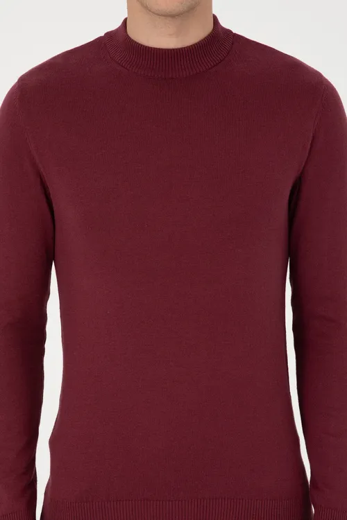 Erkek Slim Fit Polo Ýaka Baklajan Reňk Basic Jempir 50307823- Vr177 - 36682249 — surat 6/7