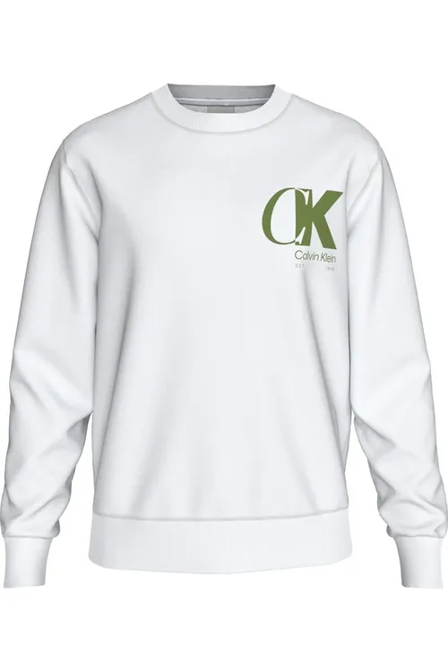 Ls Eu 350Terry Ck Overlap Graphi erkek sweatshirt - 33627130