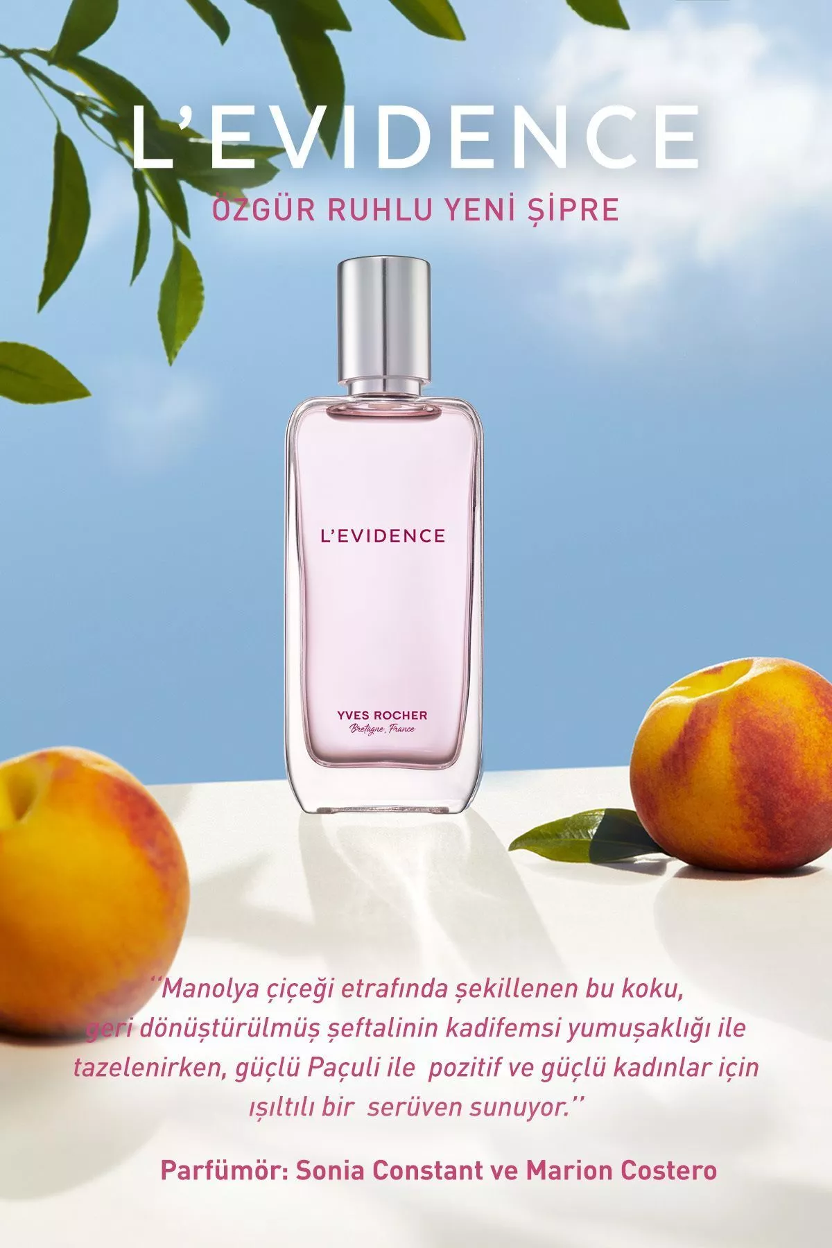 L'Evidence - EDP - 50 ml - 21326653 — surat 5/8