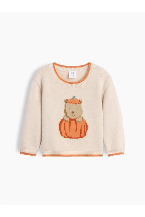 Bäbekler üçin bež Brannan Bear kädi nagyşly switer - 36891450