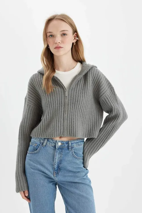 Regular Fit kapüşonly sypdyrmaly trikotaž jempir C7335AX24WN - 33916116