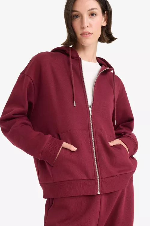 Relax Fit kapýuşonly basic galyň syrmaly sweatshirt - 28819354